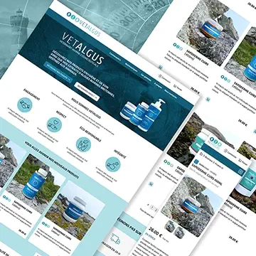 Webdesign site web DA Vetalgus